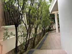 One Tree Hill (D10), Semi-Detached #459128451